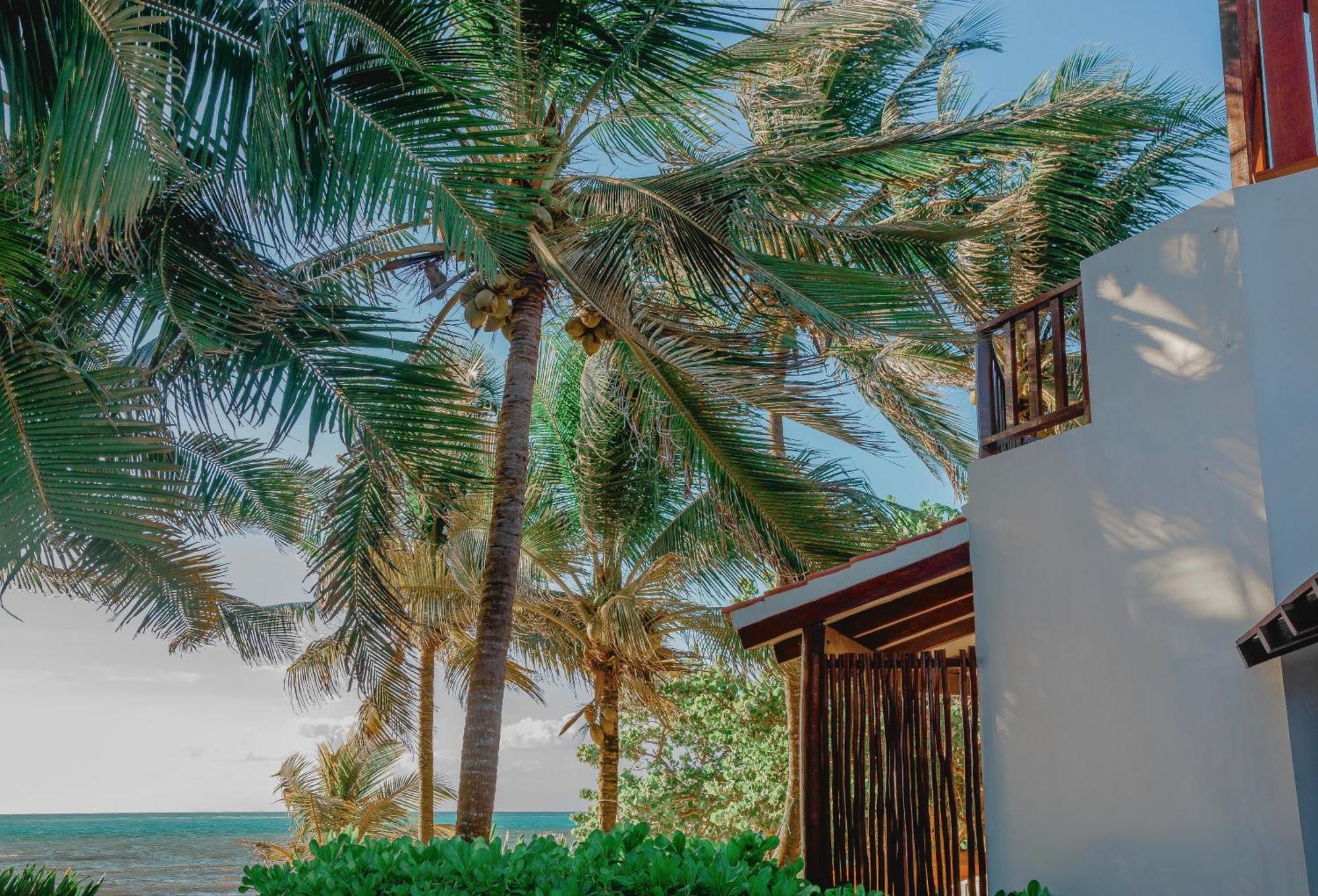 Bed and Breakfast Casa Colibrí Tankah Tulum Exterior foto